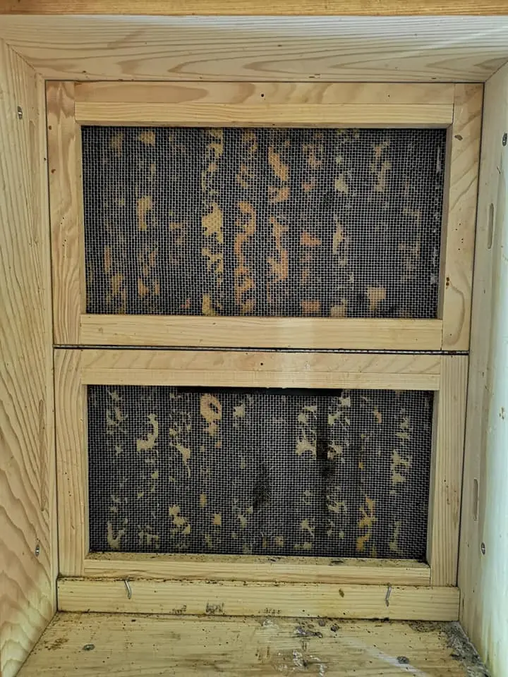 Utrinki iz čebelnjaka 17